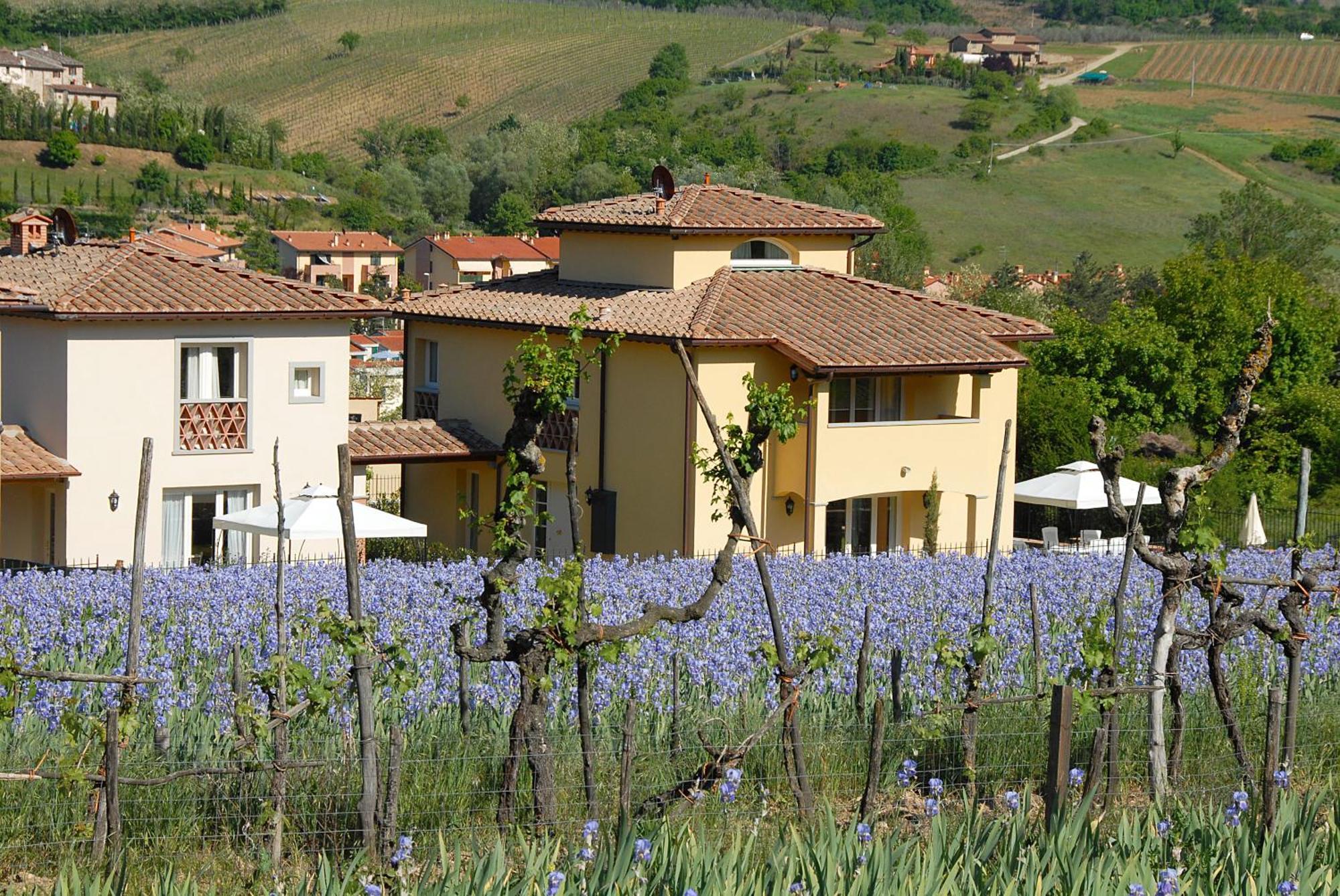 Willa Residenza Le Grillaie Greve in Chianti Zewnętrze zdjęcie